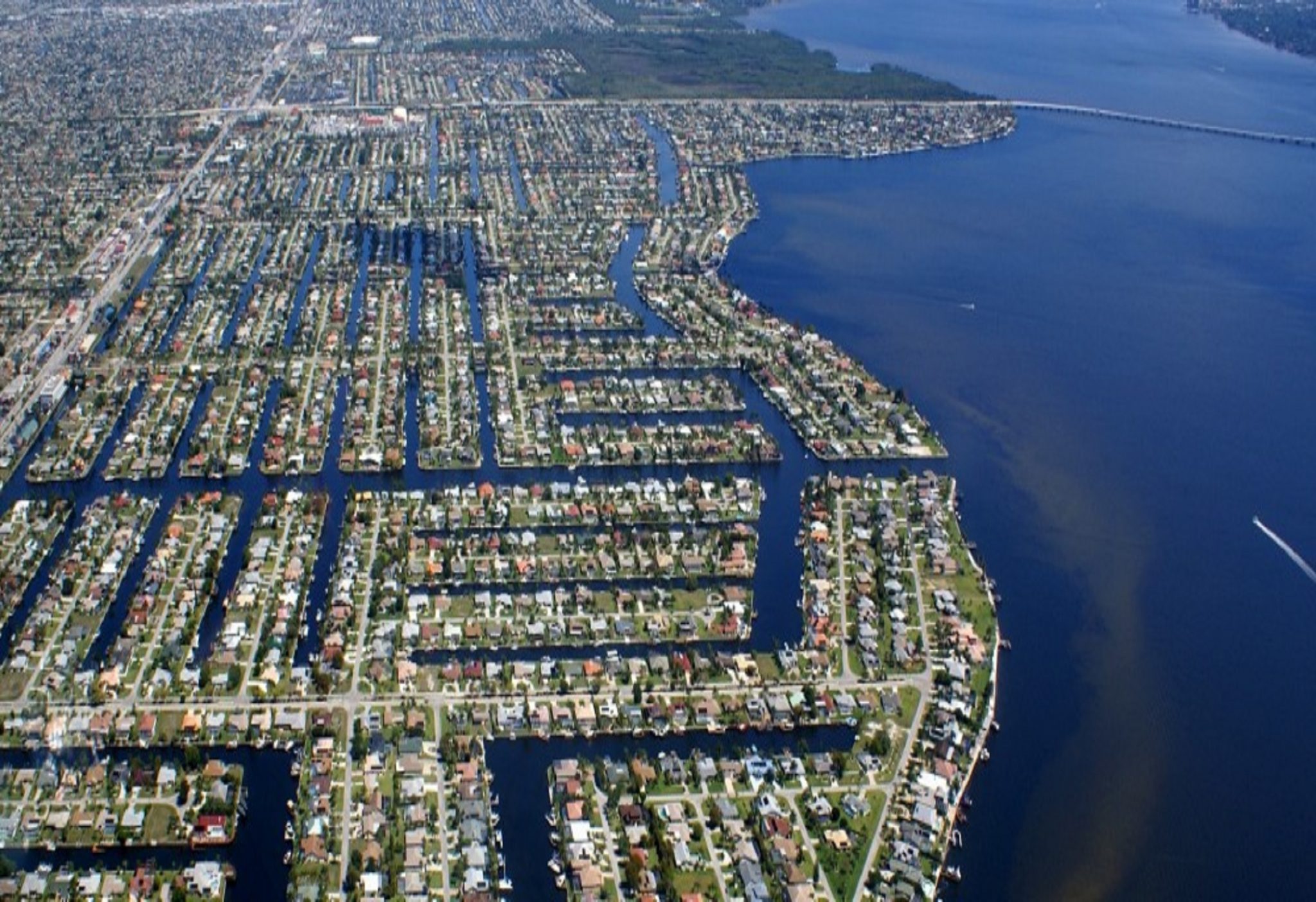 Cape Coral Pest Control Lawn Care Cape Coral ENG Pest